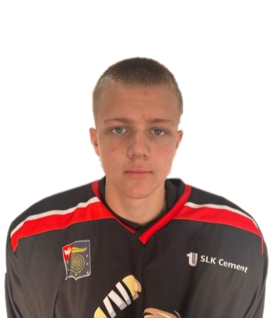 Ковязин Артем Андреевич