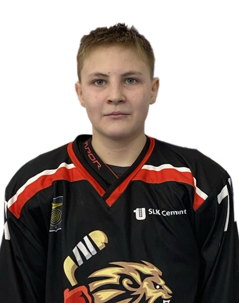 Бухарин Артемий Андреевич