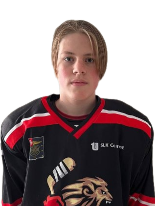 Куляко Никита Александрович