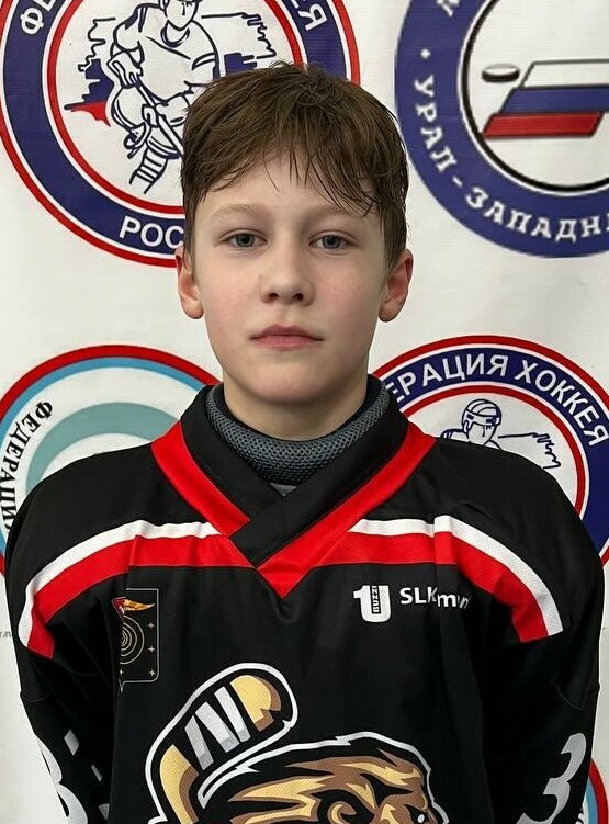 Рыженков Андрей Александрович