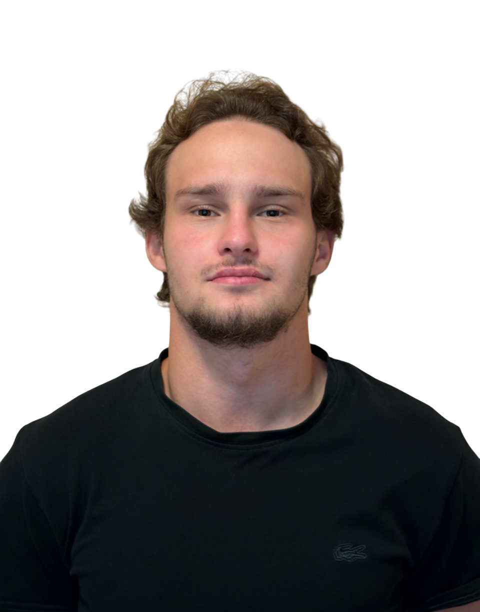 <span style="font-weight: bold;">Горюшин Антон Евгеньевич</span>