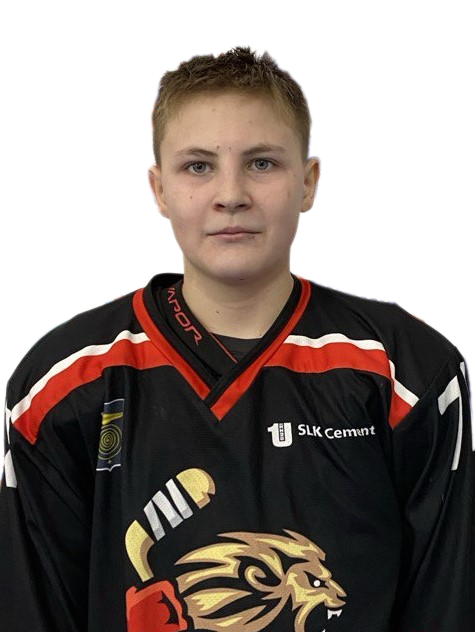 Бухарин Артемий Андреевич